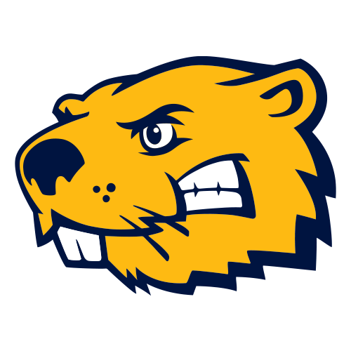 Buena Vista University